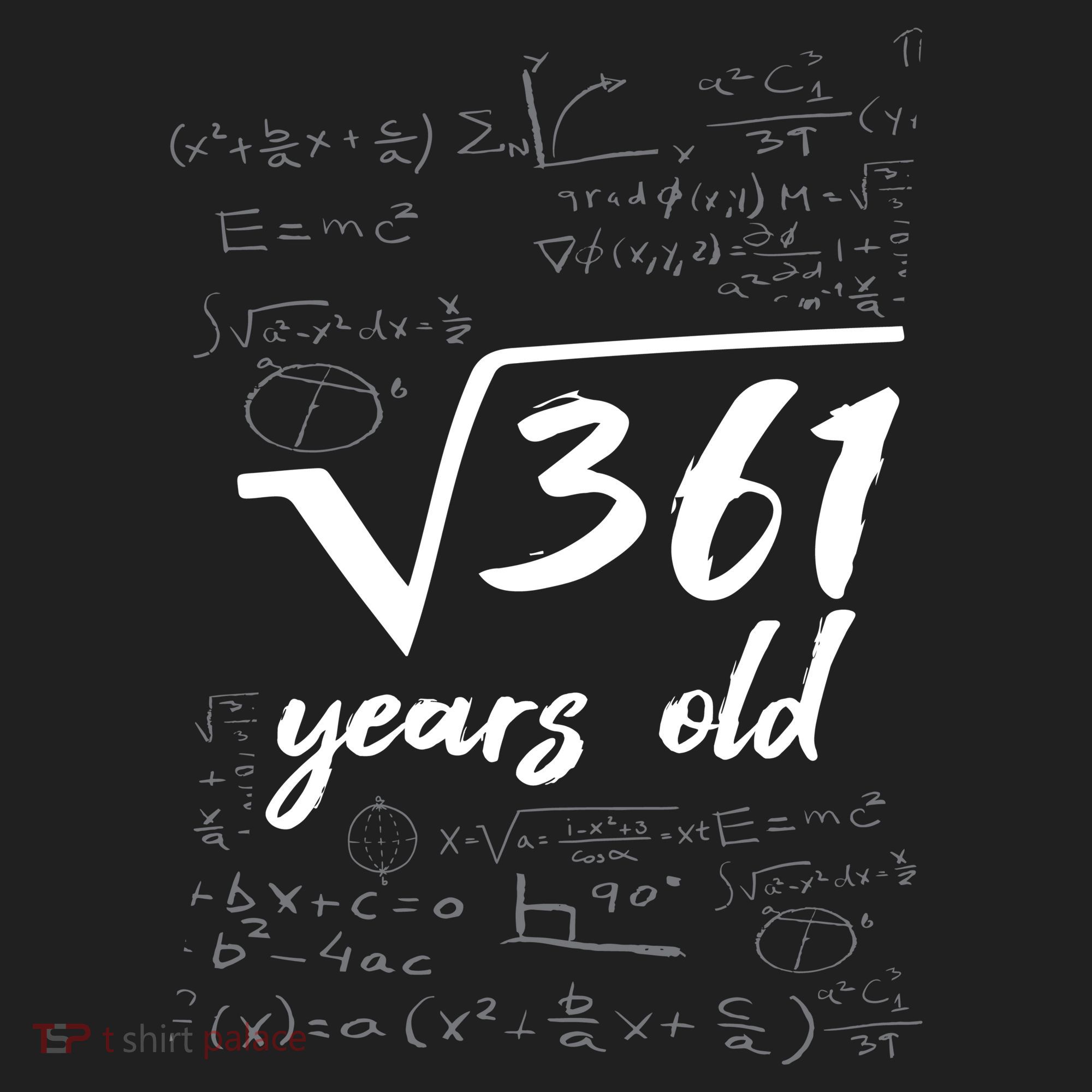 19 Year Old Birthday Math Geek Beanie