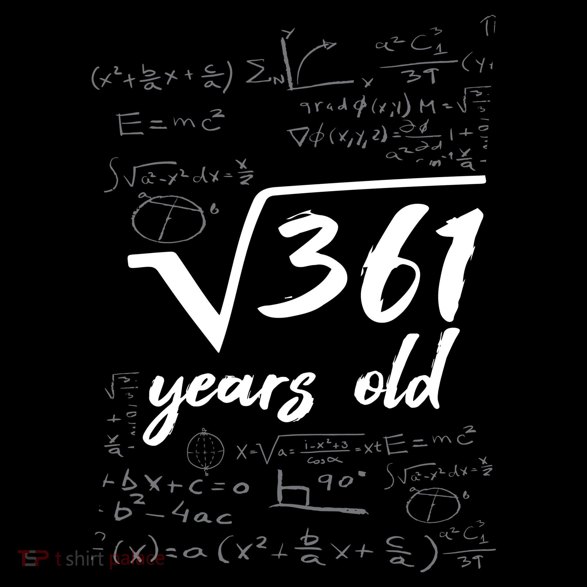 19 Year Old Birthday Math Geek Visor