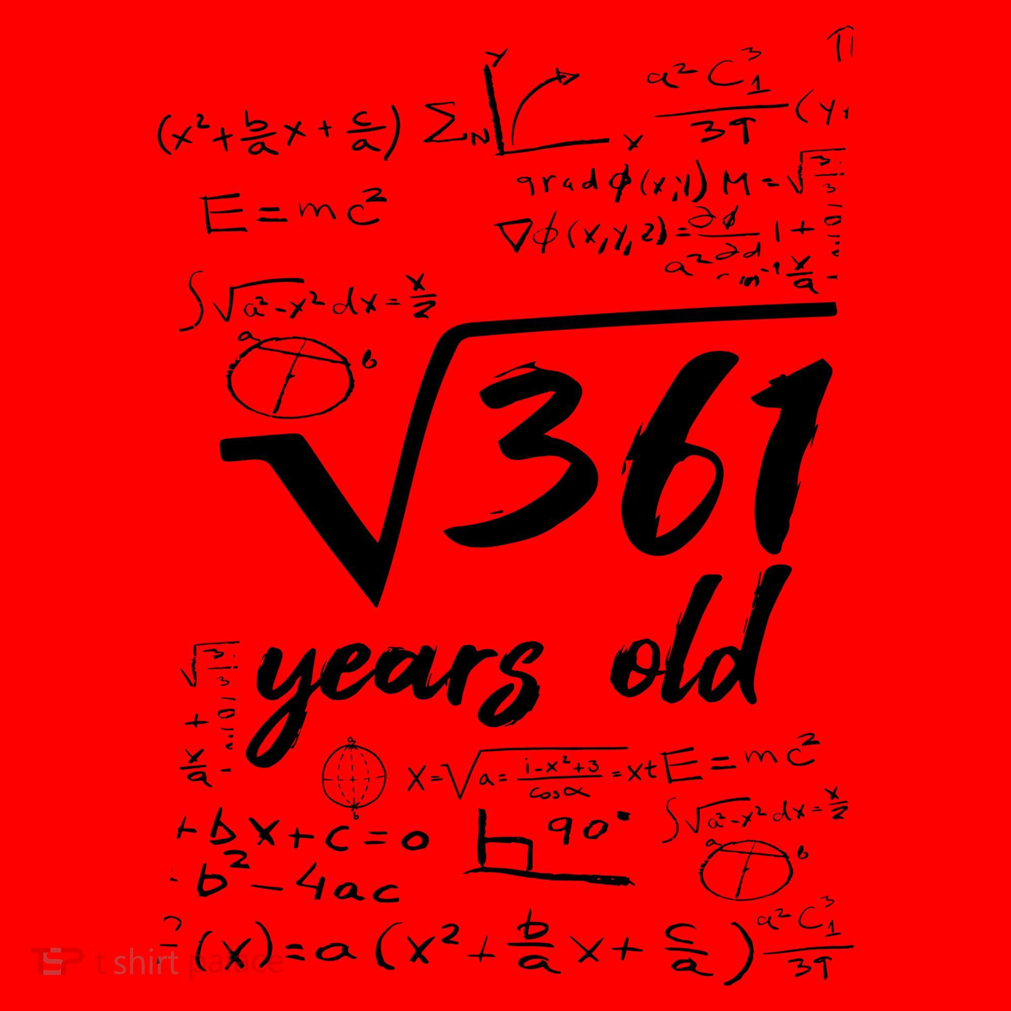 19 Year Old Birthday Math Geek Santa Hat