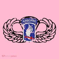 173rd Airborne Brigade Jumpwings Coaster thumb 2