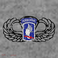 173rd Airborne Brigade Jumpwings Toddler Hoodie thumb 2