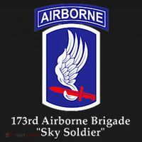 173rd Airborne Brigade Sky Soldier U.S. Army Full Color T-Shirt thumb 7
