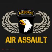 101st Airborne Division Air Assault Gift Veterans Day Great Gift Women's Hoodie thumb 2