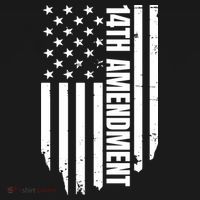 14th Amendment Flag Political America Usa Rights Women's Hoodie thumb 2