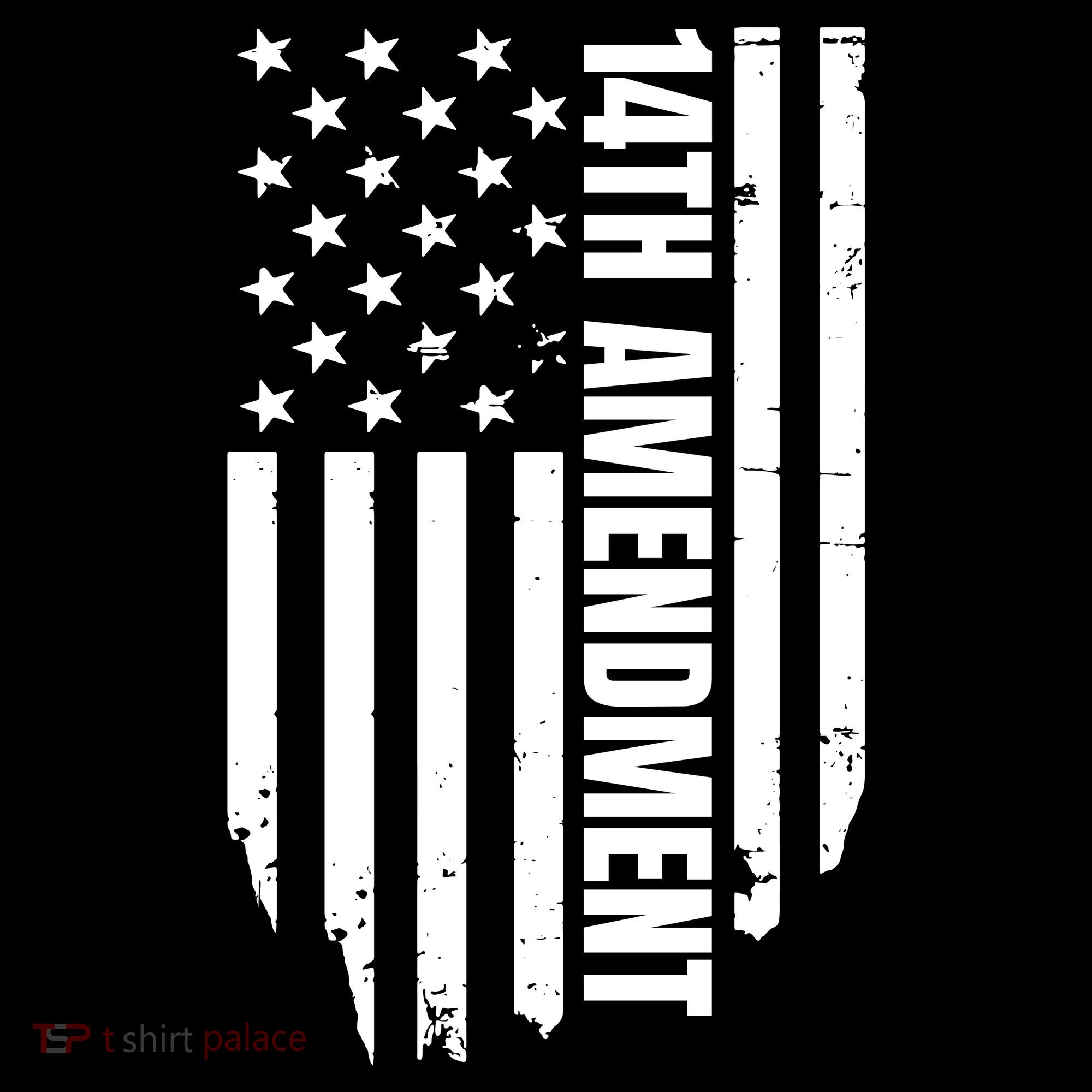 14th Amendment Flag Political America Usa Rights Women's Hoodie