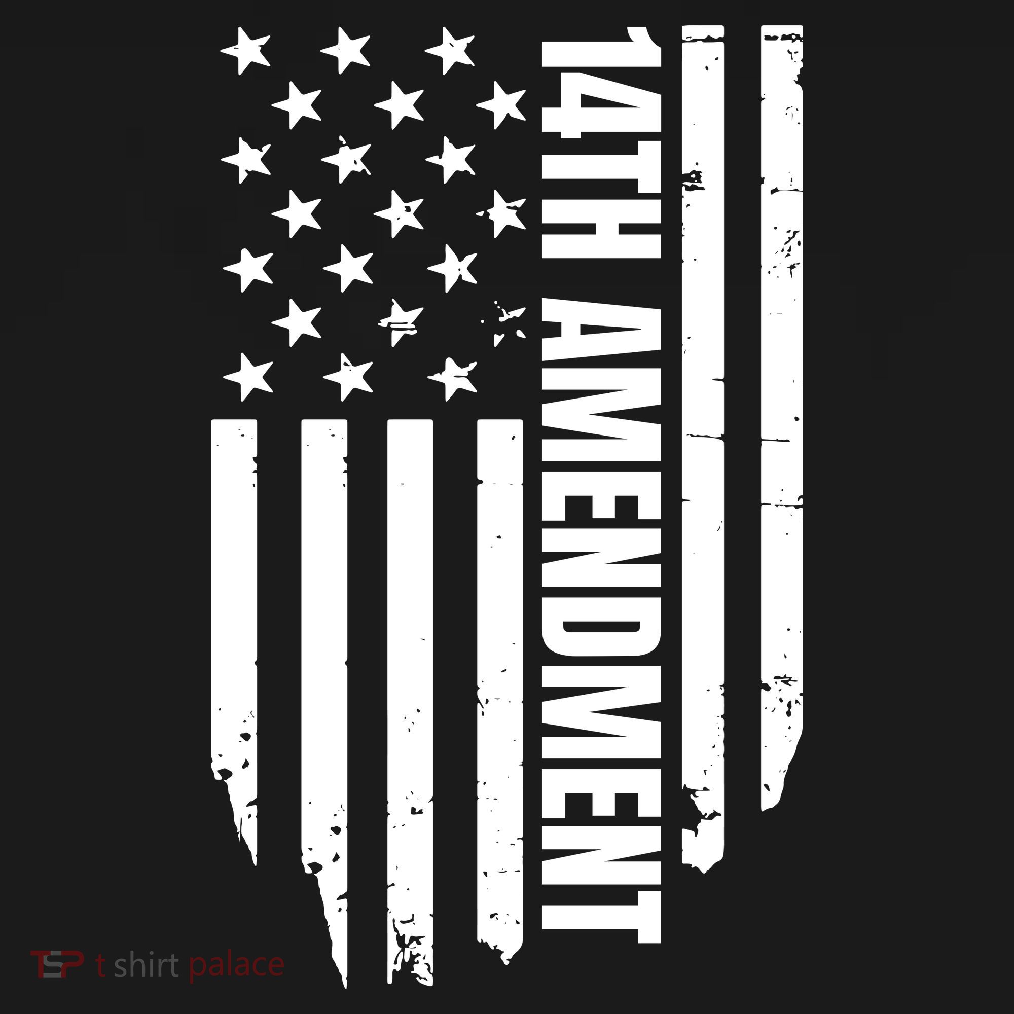 14th Amendment Flag Political America Usa Rights Women's Tank Top