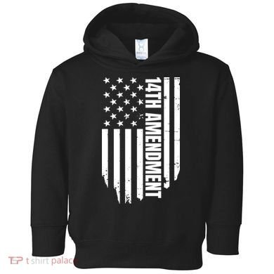 14th Amendment Flag Political America Usa Rights Toddler Hoodie