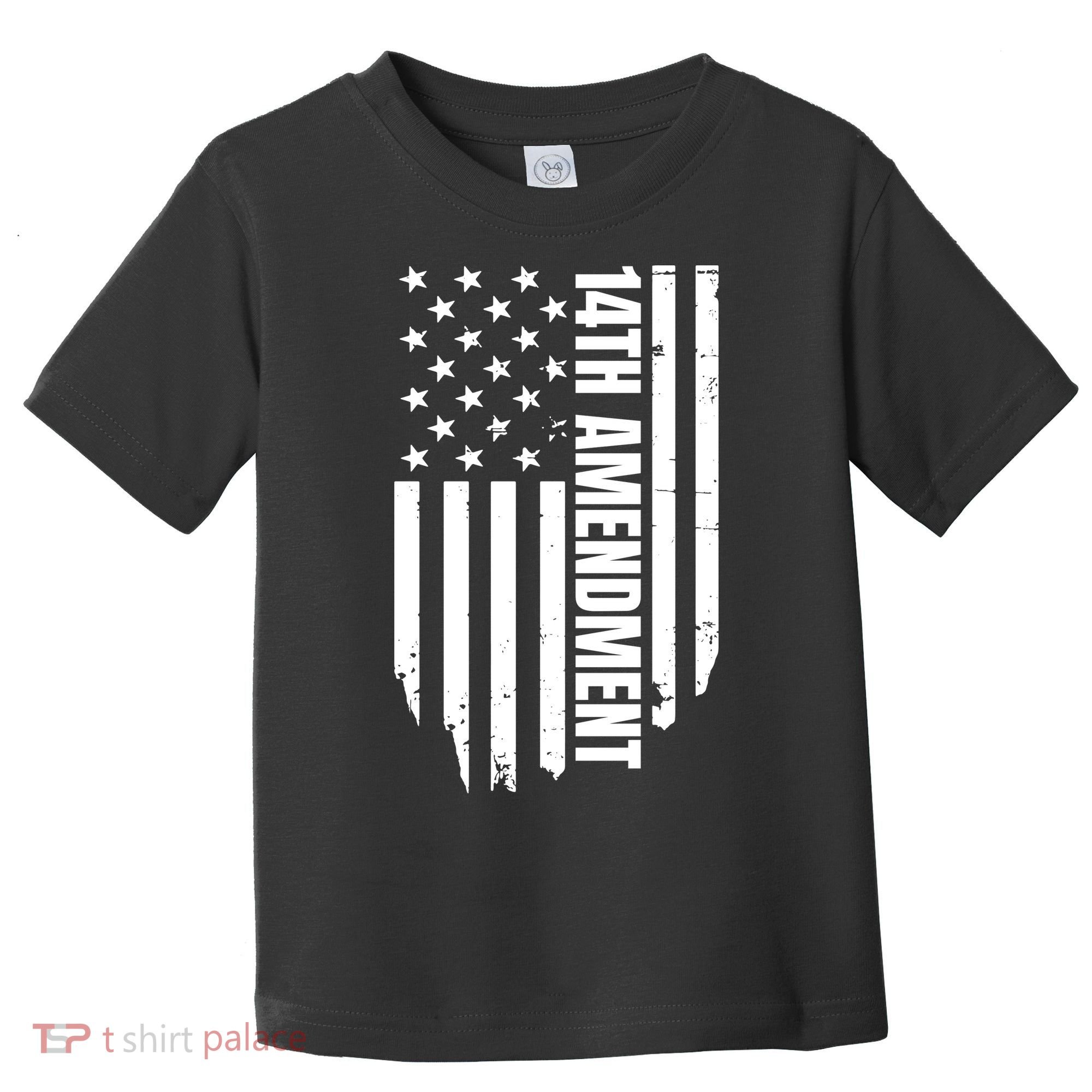 14th Amendment Flag Political America Usa Rights Toddler T-Shirt