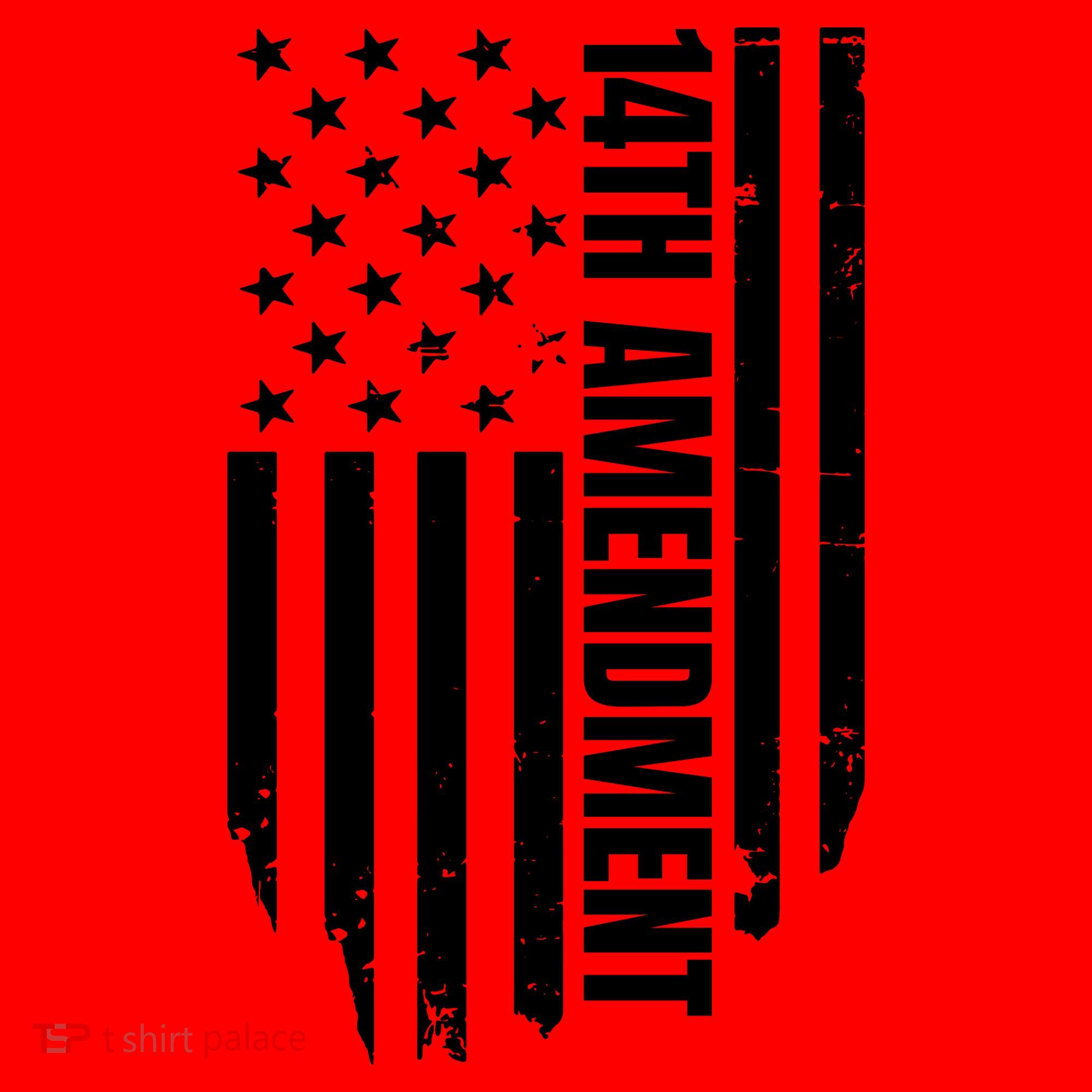 14th Amendment Flag Political America Usa Rights Santa Hat