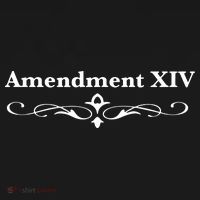 14TH Amendment USA Constitution USA-Made Doggie Bandana thumb 2