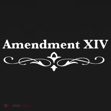 14TH Amendment USA Constitution Sweatshirt Cinch Pack Bag