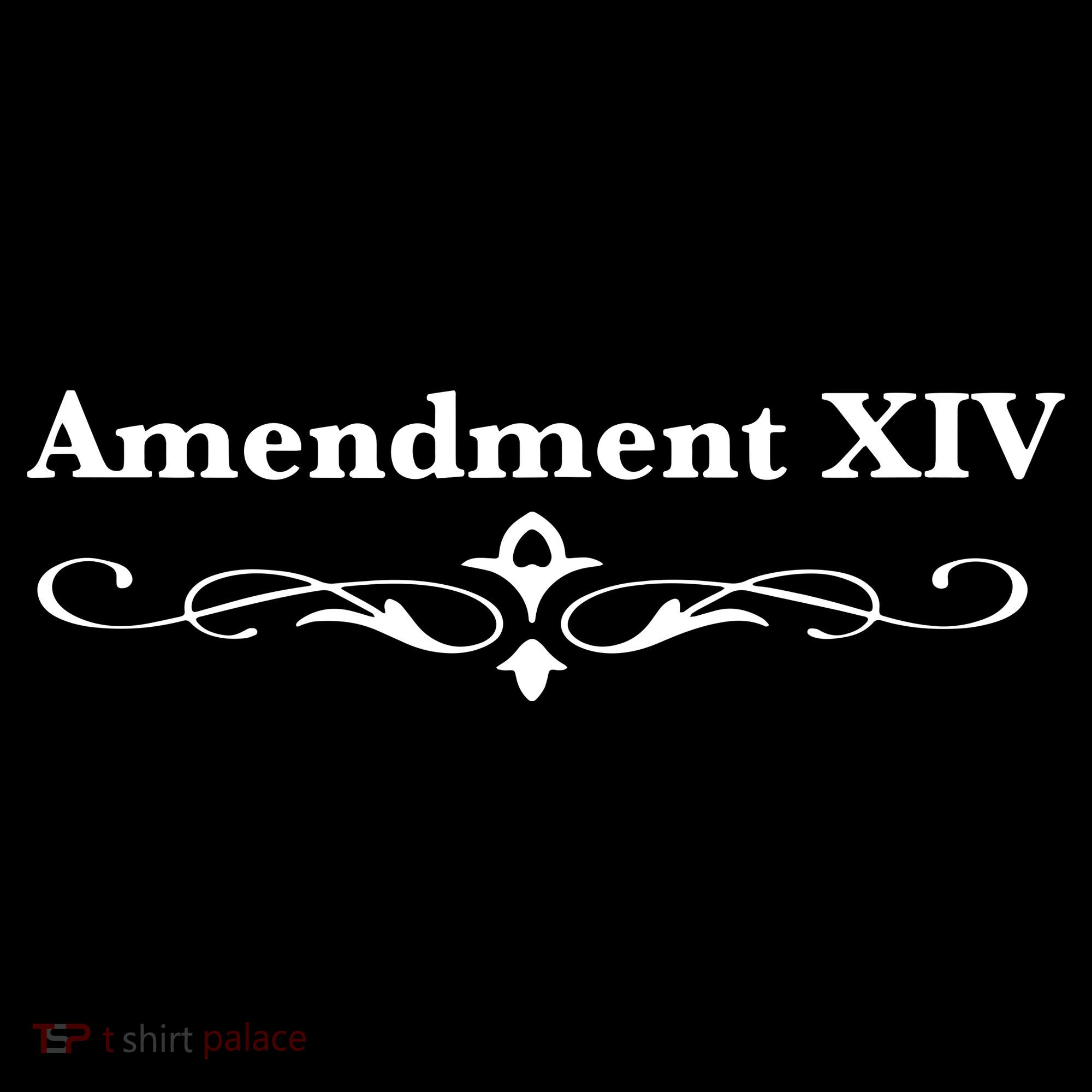 14TH Amendment USA Constitution Women's Tank Top
