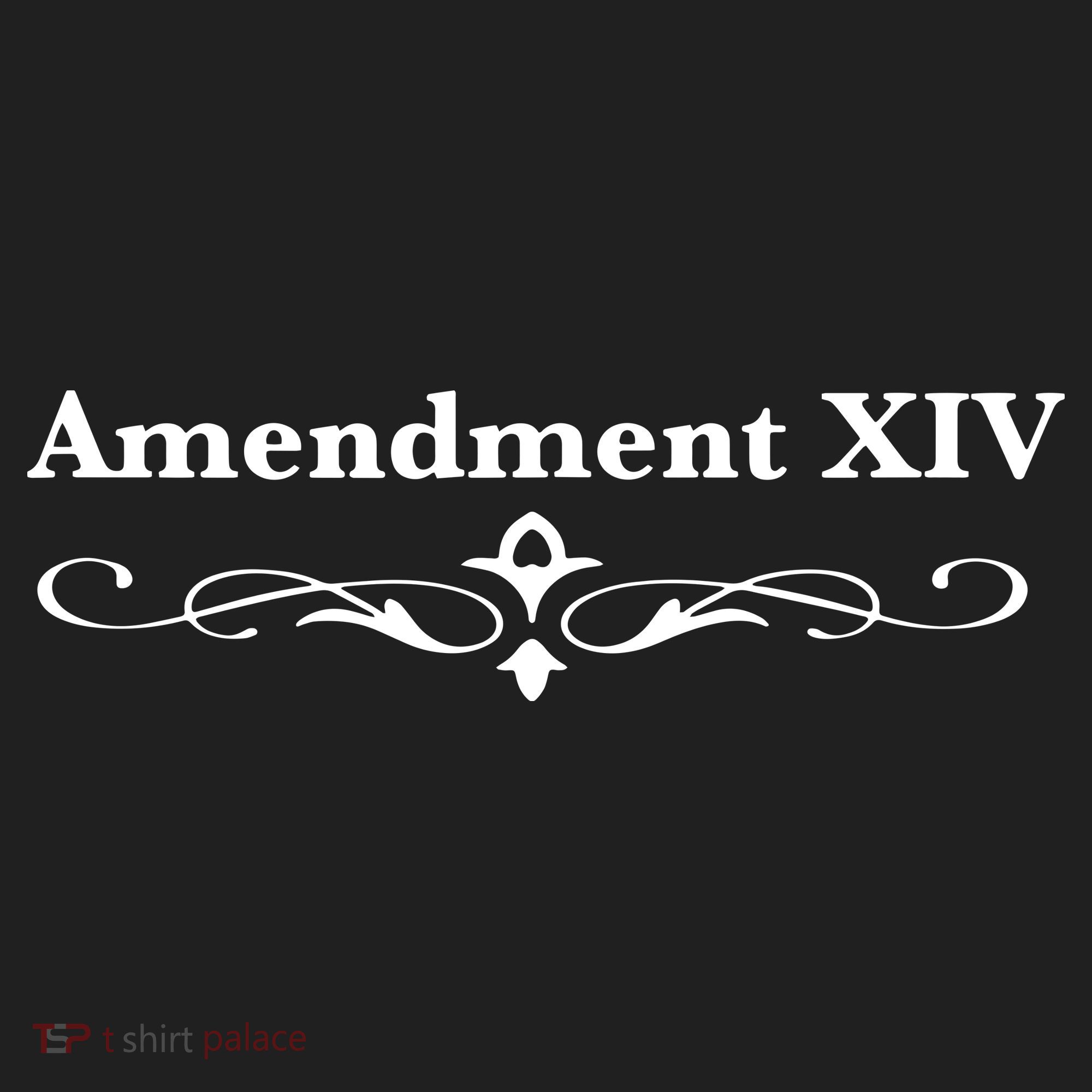 14TH Amendment USA Constitution Hat
