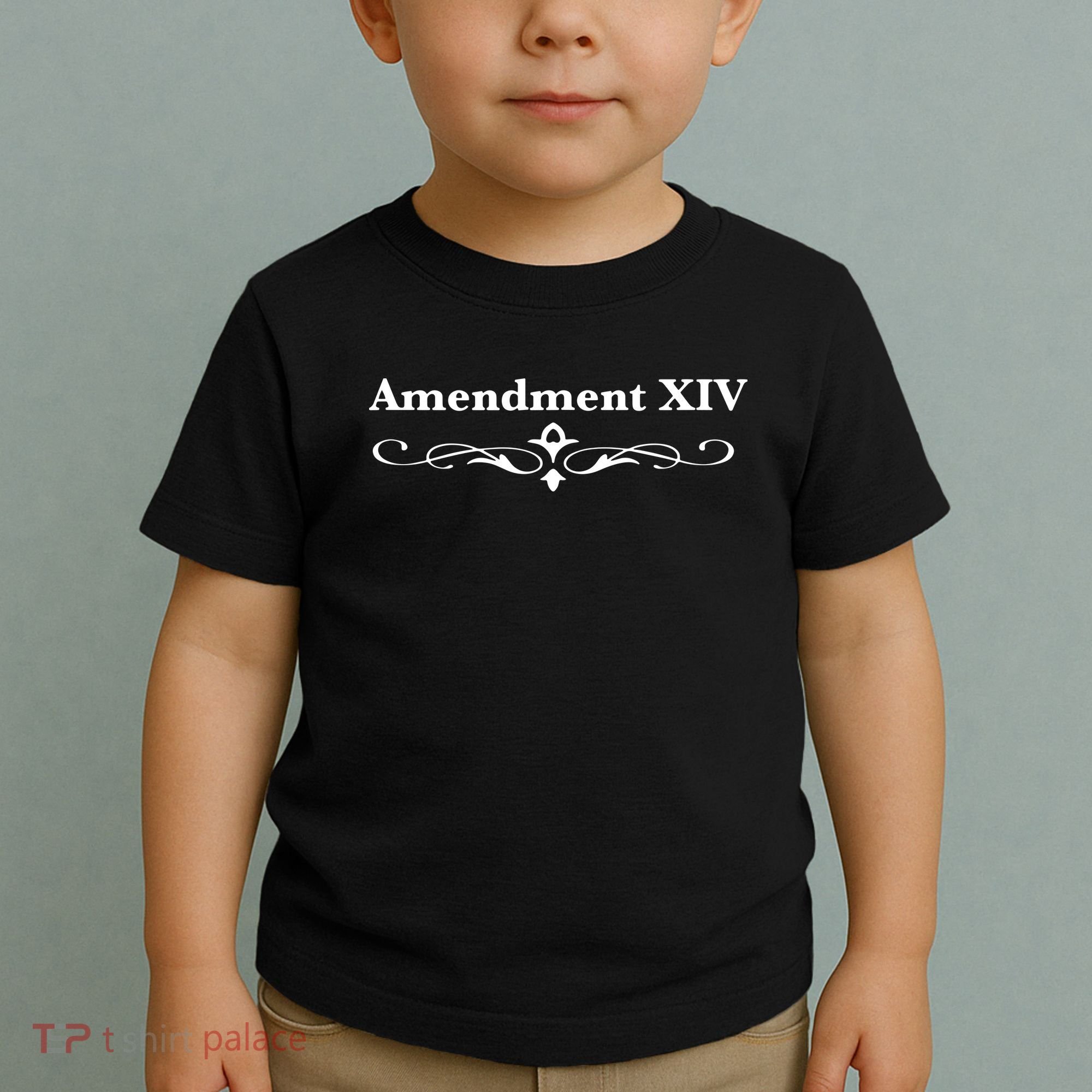14TH Amendment USA Constitution Toddler T-Shirt