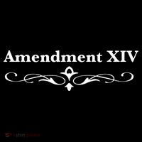 14TH Amendment USA Constitution Toddler T-Shirt thumb 4