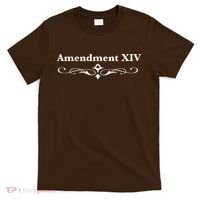 14TH Amendment USA Constitution T-Shirt thumb 0