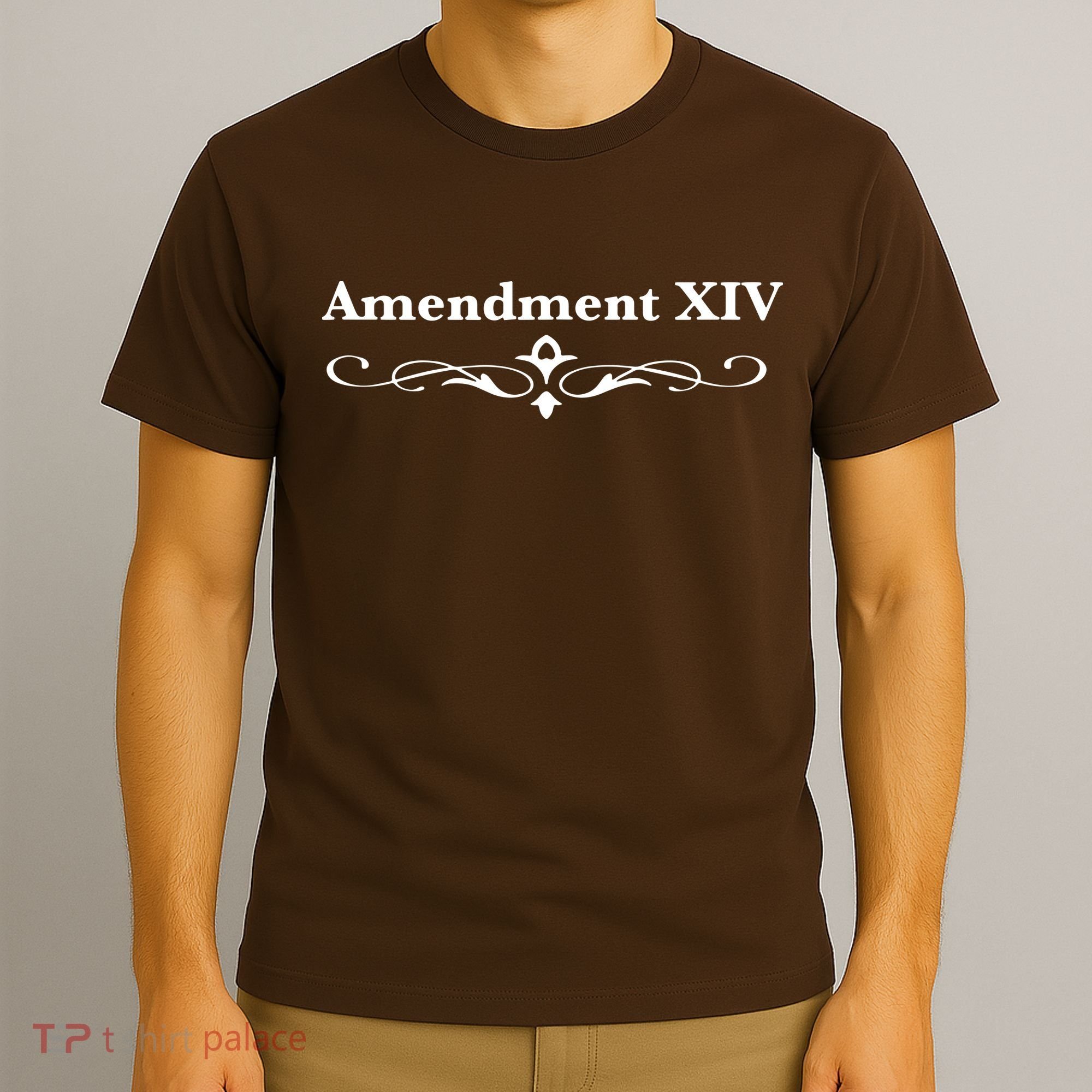14TH Amendment USA Constitution T-Shirt