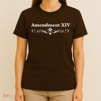 14TH Amendment USA Constitution T-Shirt thumb 4
