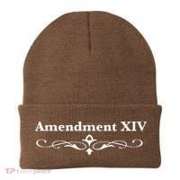 14TH Amendment USA Constitution Beanie thumb 0