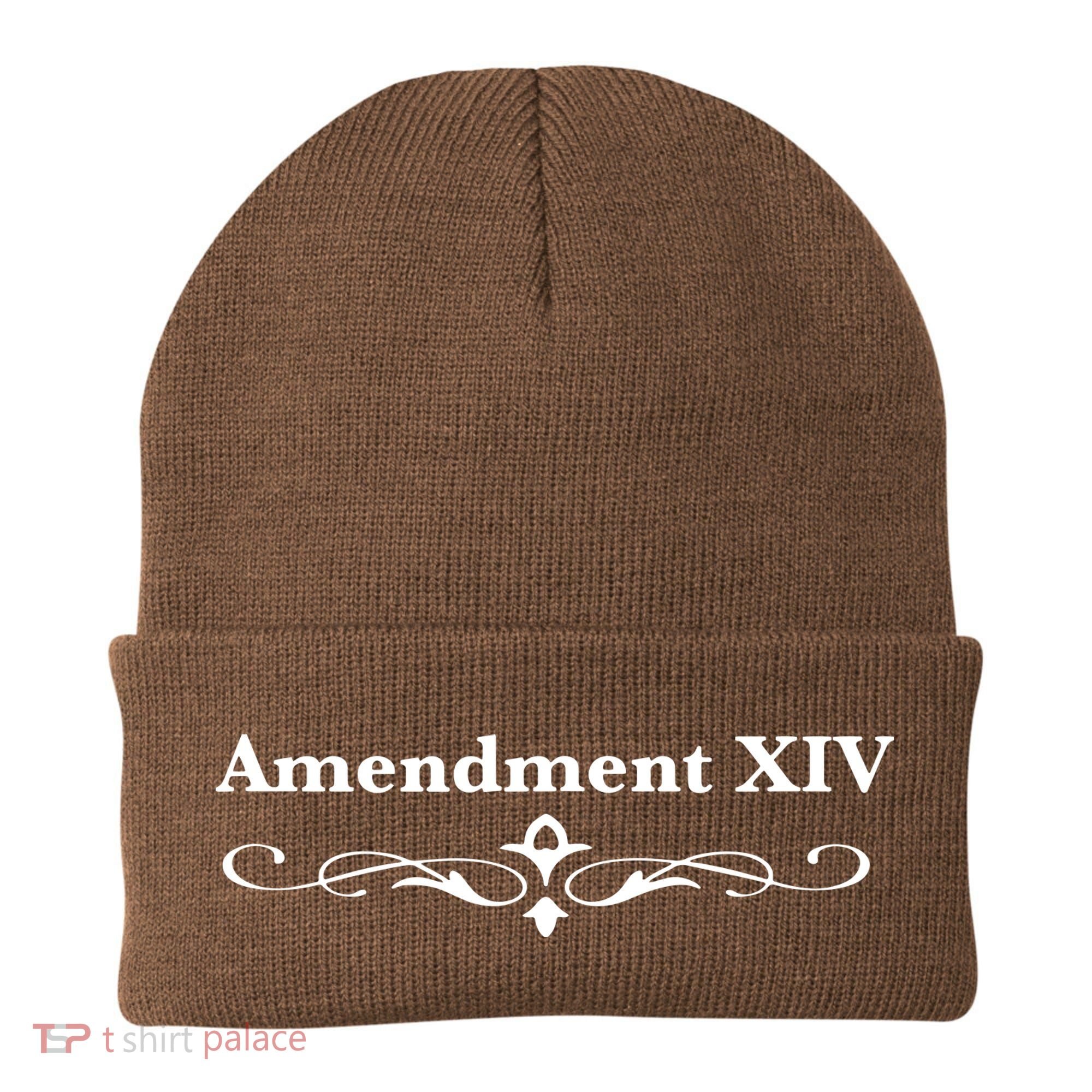 14TH Amendment USA Constitution Beanie