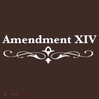 14TH Amendment USA Constitution Coaster thumb 2