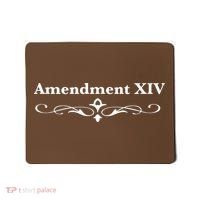 14TH Amendment USA Constitution Mousepad thumb 0