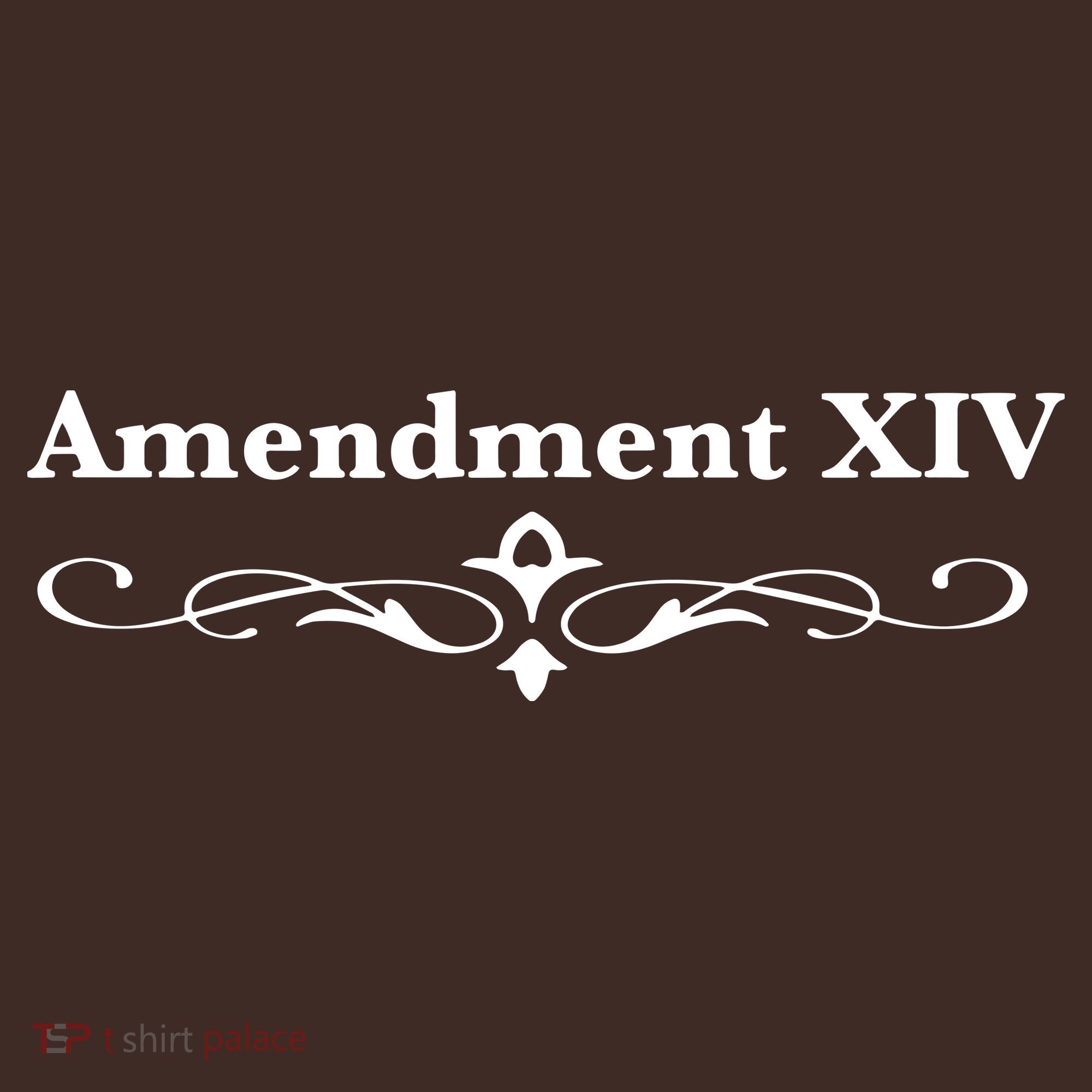 14TH Amendment USA Constitution Kids Hoodie
