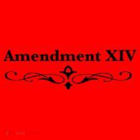 14TH Amendment USA Constitution Santa Hat thumb 1