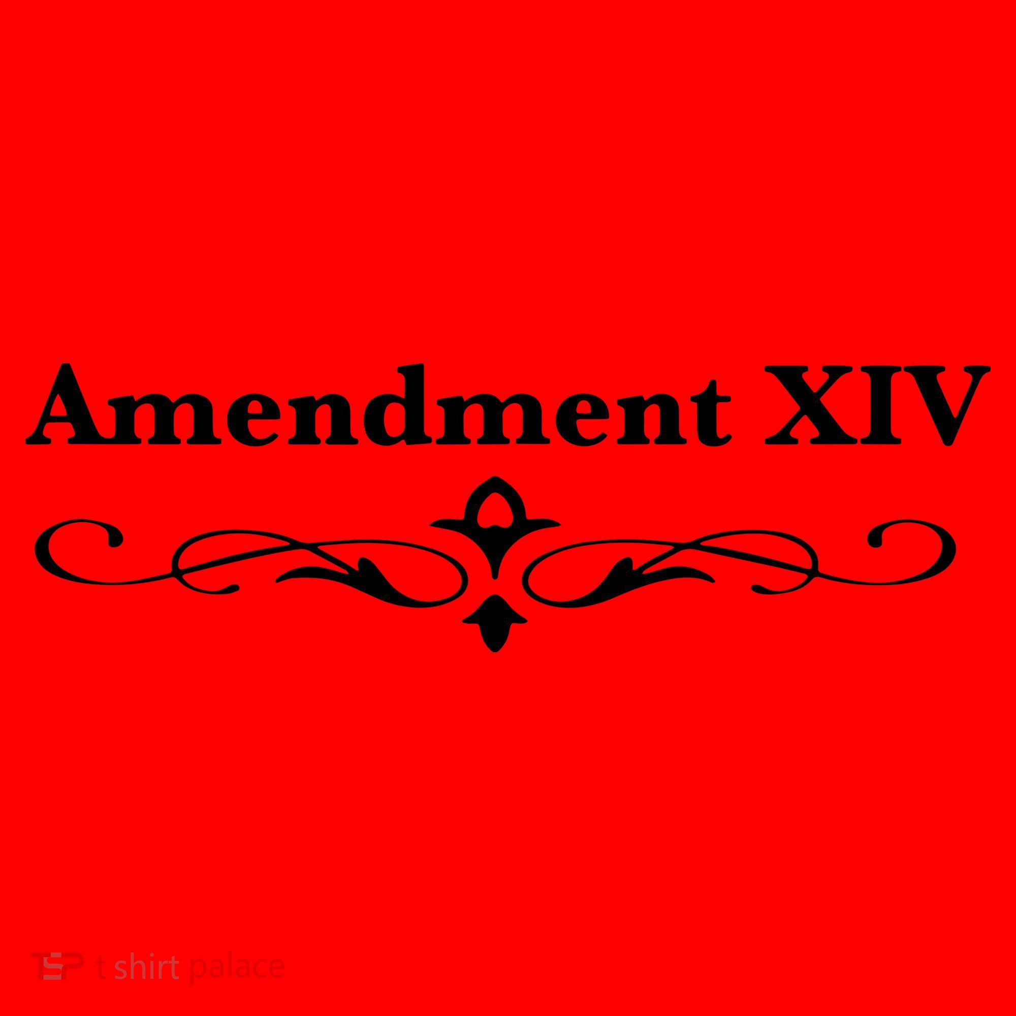 14TH Amendment USA Constitution Santa Hat