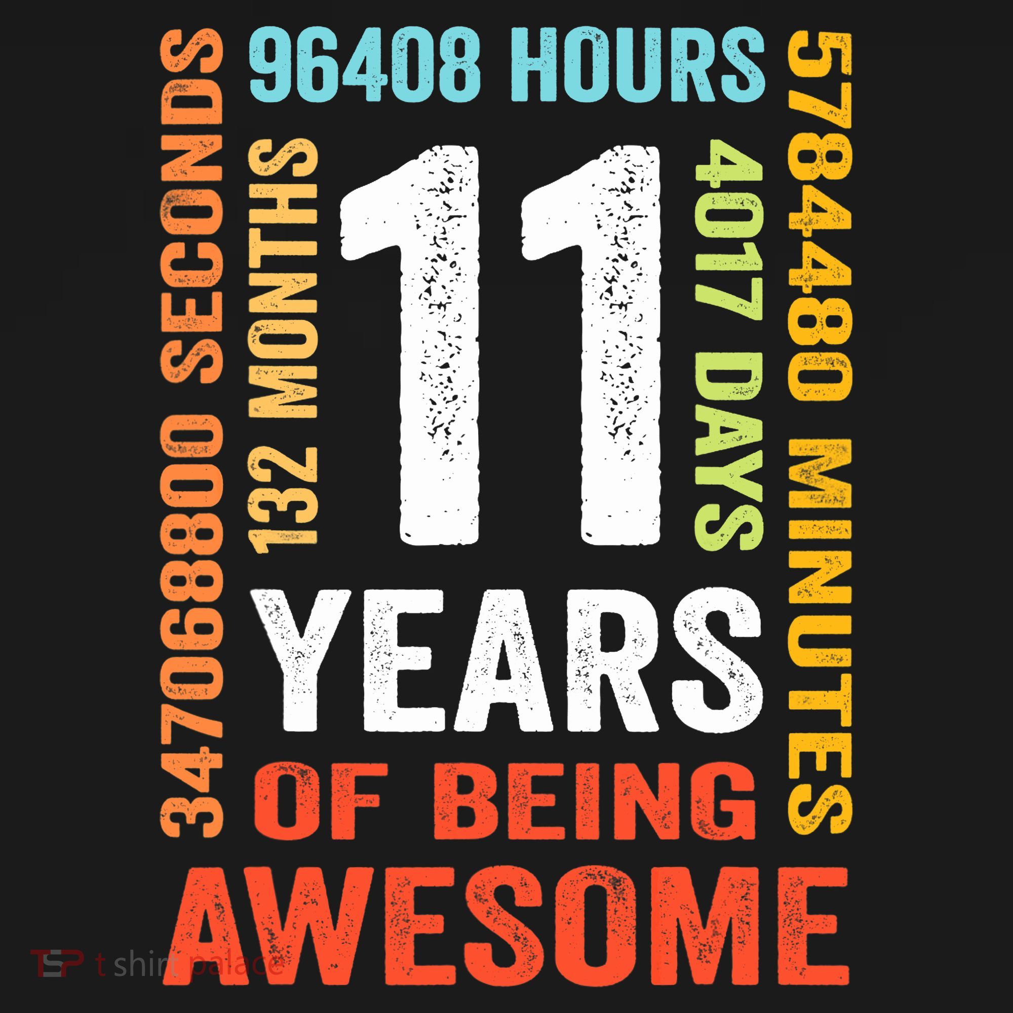 11th Birthday 11 Years Old Vintage Retro 132 Months T-Shirt