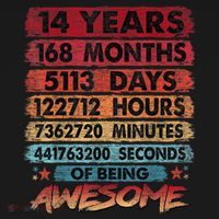 14th Birthday 14 Years Old Vintage Retro 168 Months Birthday T-Shirt thumb 7