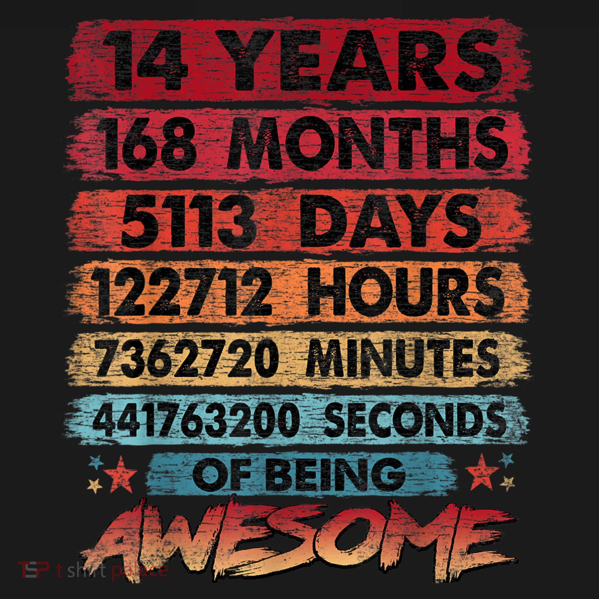 14th Birthday 14 Years Old Vintage Retro 168 Months Birthday T-Shirt