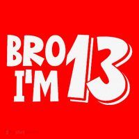 13th Birthday Bro I’m 13 Year Old Thirteen Thirtee Santa Hat thumb 1