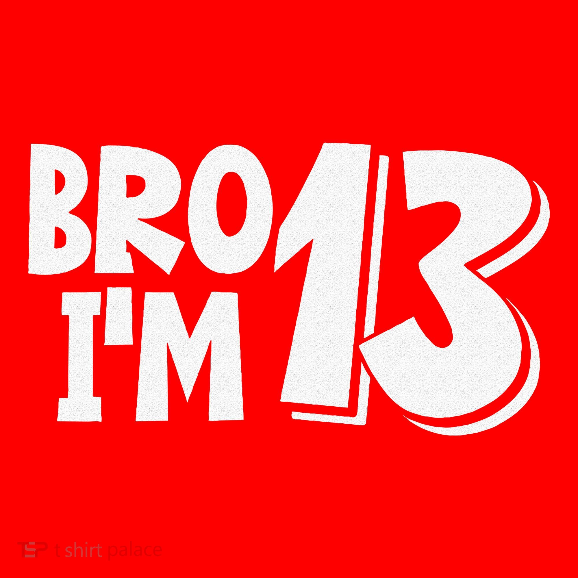 13th Birthday Bro I’m 13 Year Old Thirteen Thirtee Santa Hat