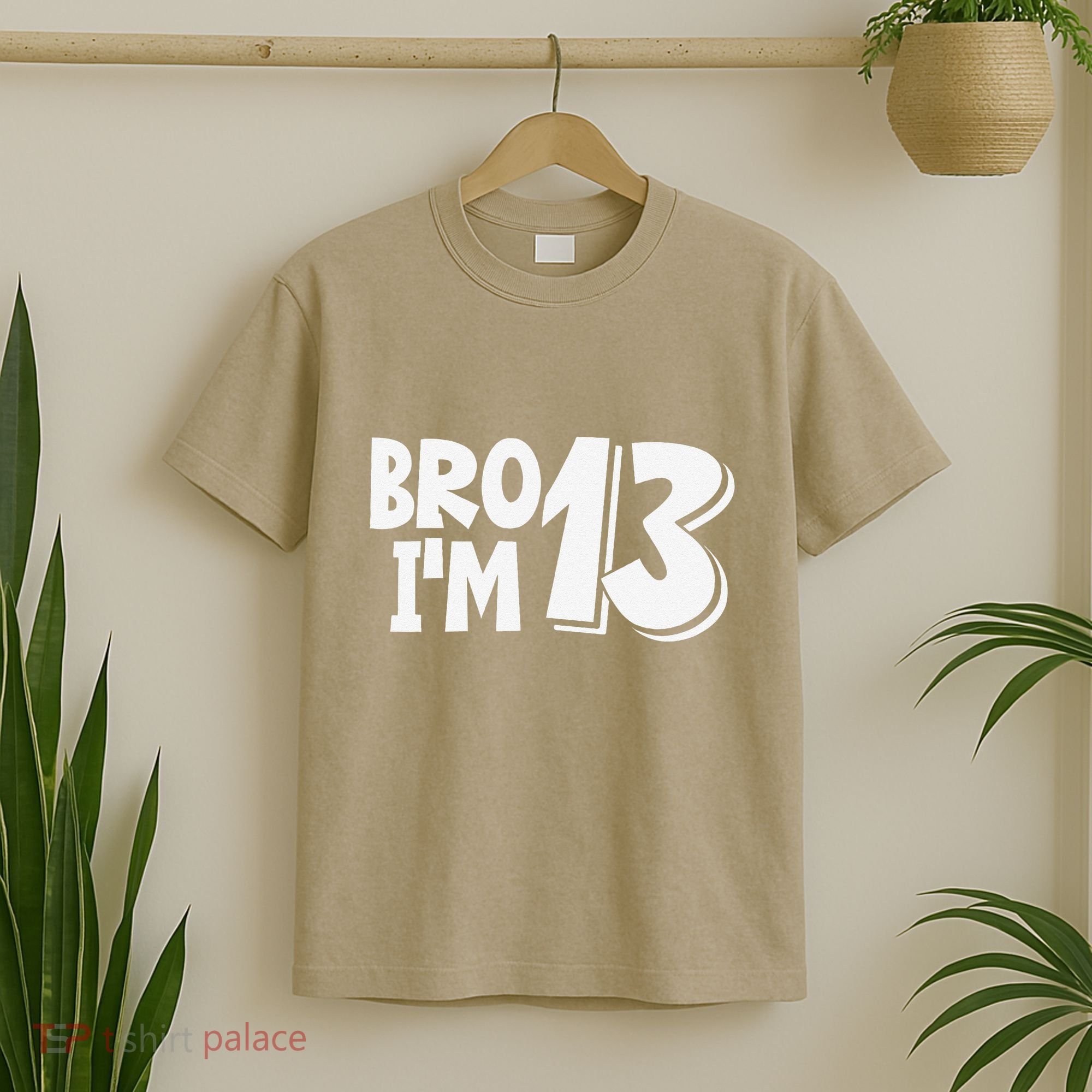13th Birthday Bro I’m 13 Year Old Thirteen Thirtee T-Shirt