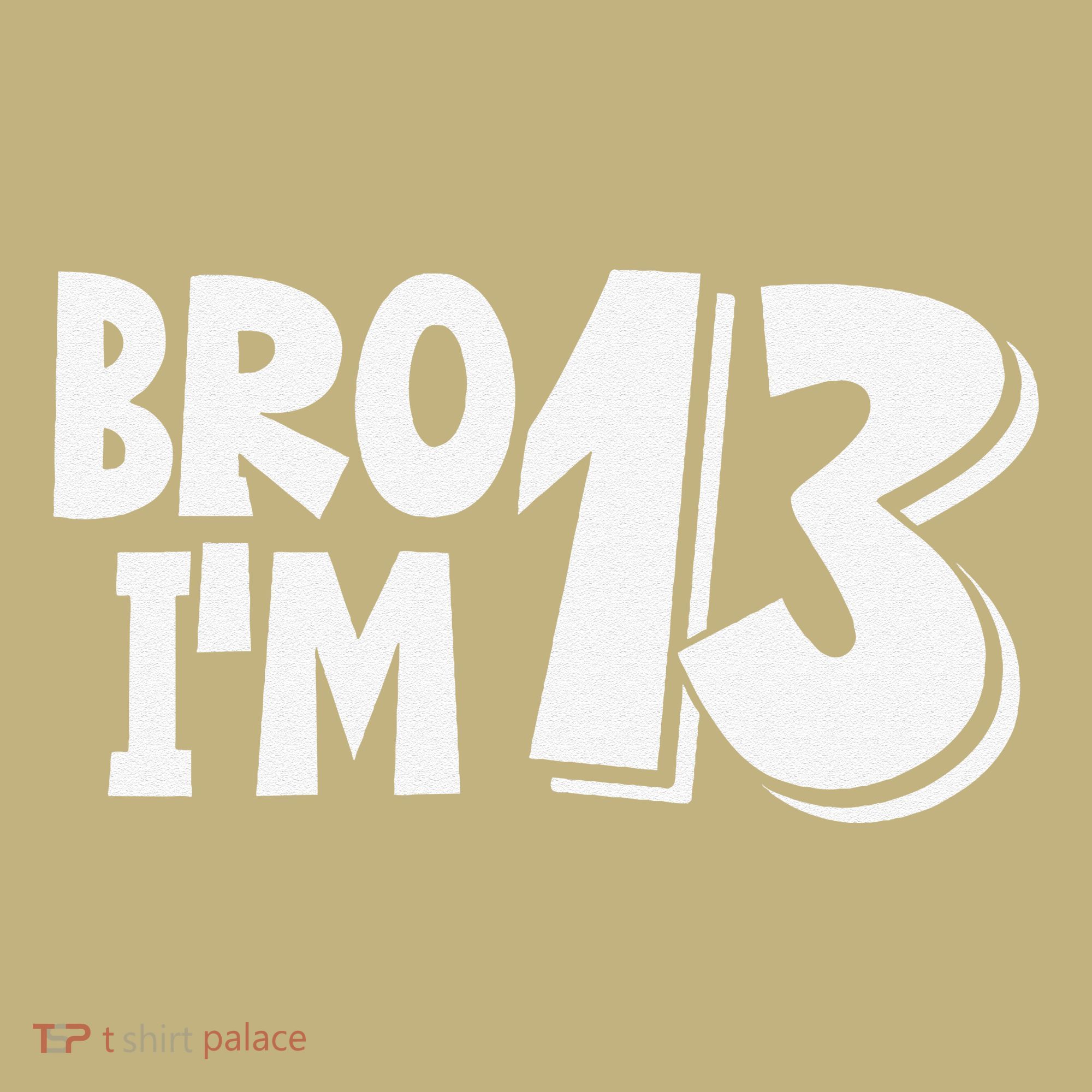 13th Birthday Bro I’m 13 Year Old Thirteen Thirtee Mousepad