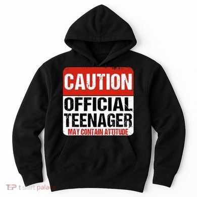 13 Birthday Caution Nager Boy 13yr 13th Birthday Hoodie