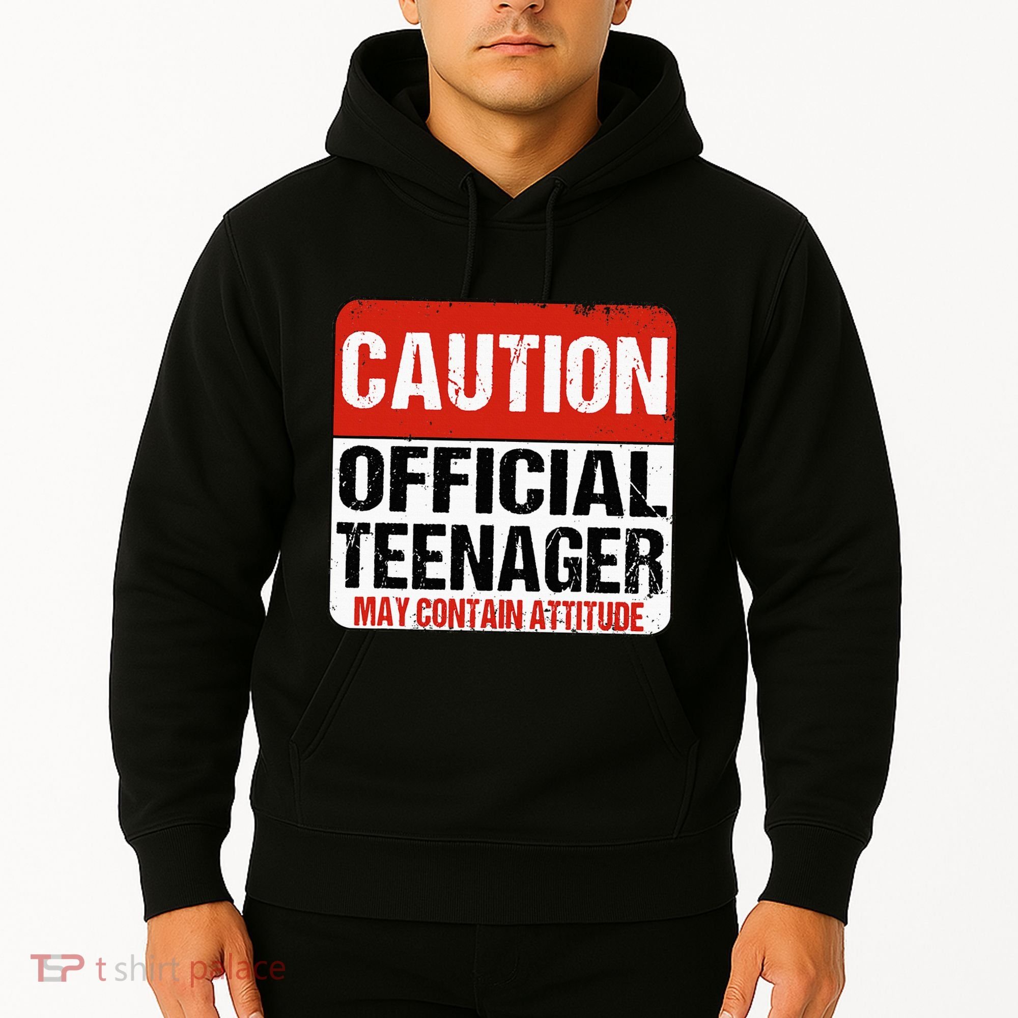 13 Birthday Caution Nager Boy 13yr 13th Birthday Hoodie