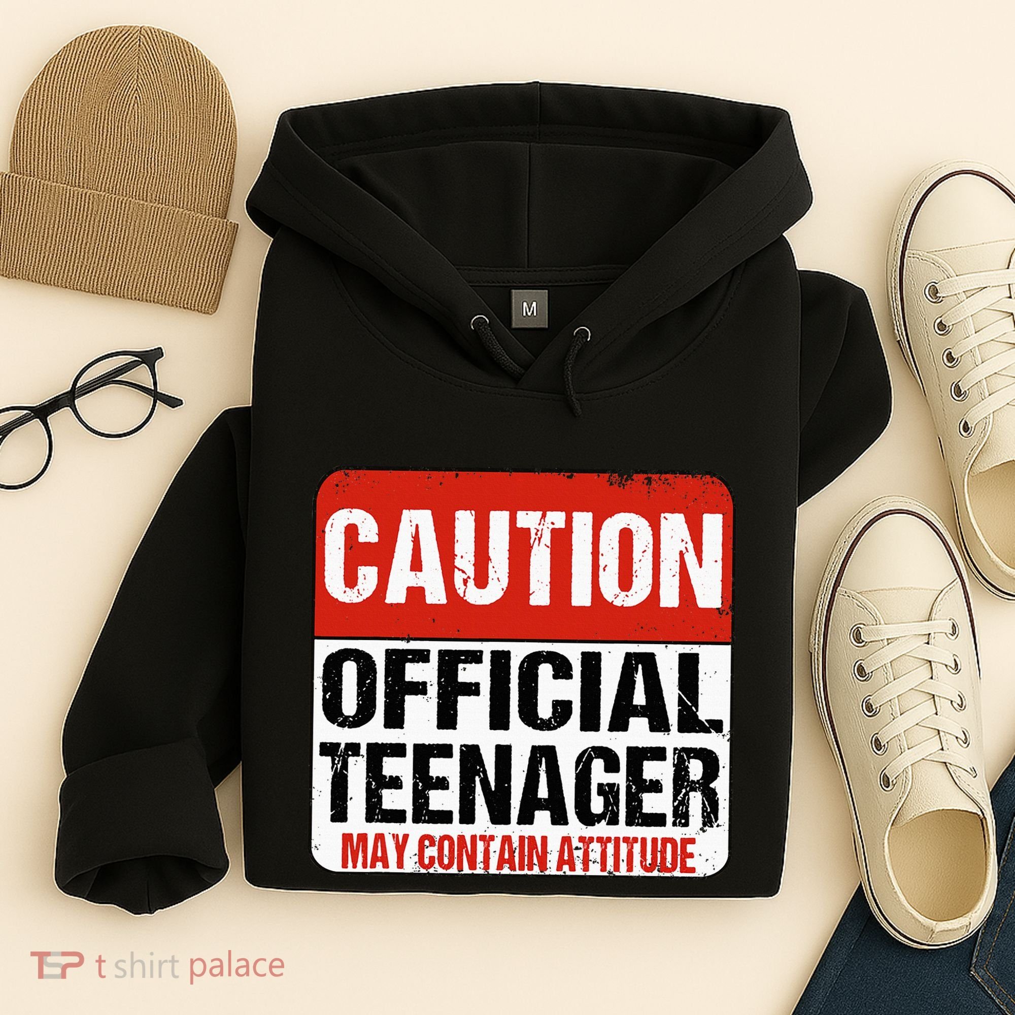 13 Birthday Caution Nager Boy 13yr 13th Birthday Hoodie