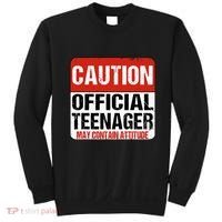 13 Birthday Caution Nager Boy 13yr 13th Birthday Sweatshirt thumb 0