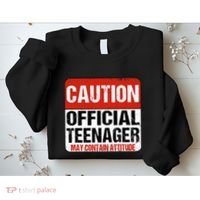 13 Birthday Caution Nager Boy 13yr 13th Birthday Sweatshirt thumb 2