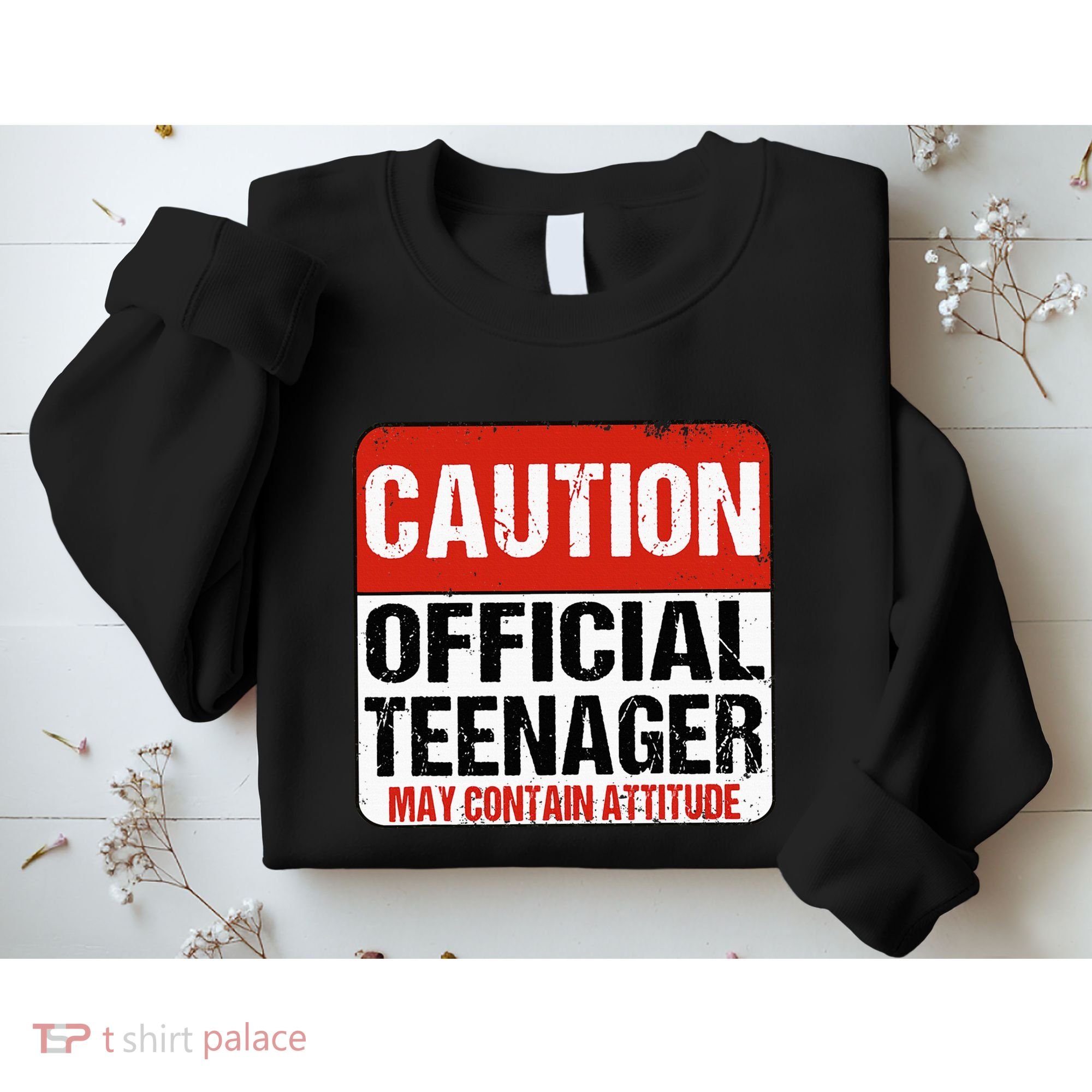 13 Birthday Caution Nager Boy 13yr 13th Birthday Sweatshirt