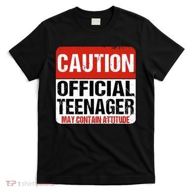 13 Birthday Caution Nager Boy 13yr 13th Birthday T-Shirt