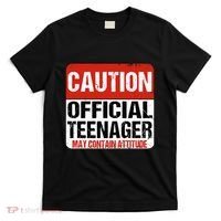 13 Birthday Caution Nager Boy 13yr 13th Birthday T-Shirt thumb 0