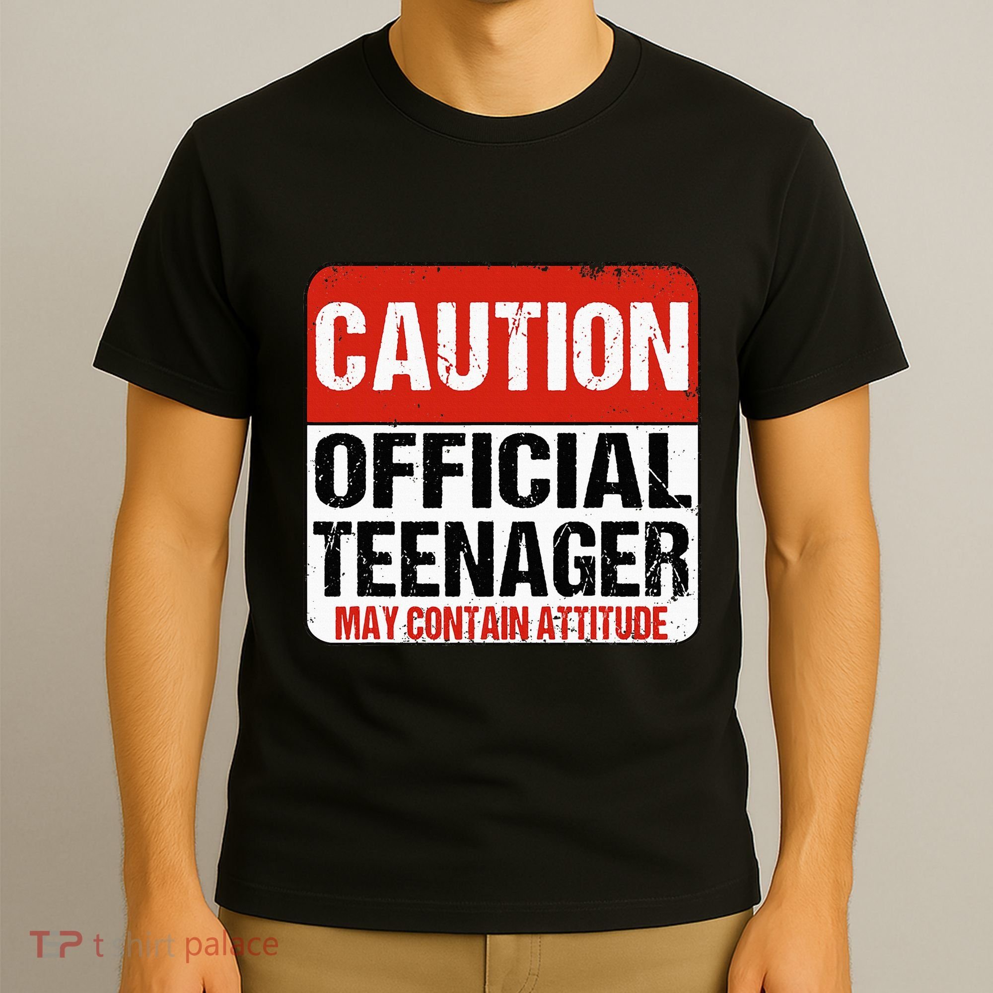 13 Birthday Caution Nager Boy 13yr 13th Birthday T-Shirt