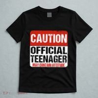 13 Birthday Caution Nager Boy 13yr 13th Birthday T-Shirt thumb 5