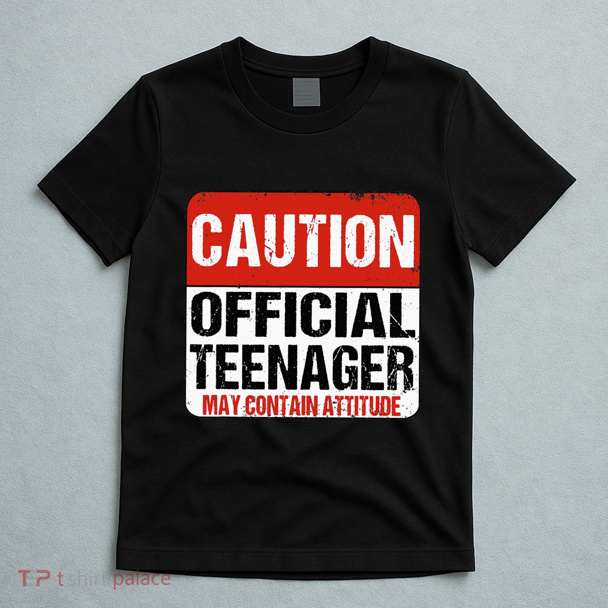 13 Birthday Caution Nager Boy 13yr 13th Birthday T-Shirt
