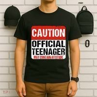13 Birthday Caution Nager Boy 13yr 13th Birthday T-Shirt thumb 6
