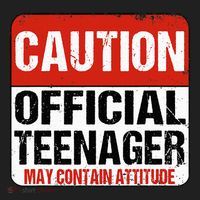 13 Birthday Caution Nager Boy 13yr 13th Birthday Beanie thumb 2