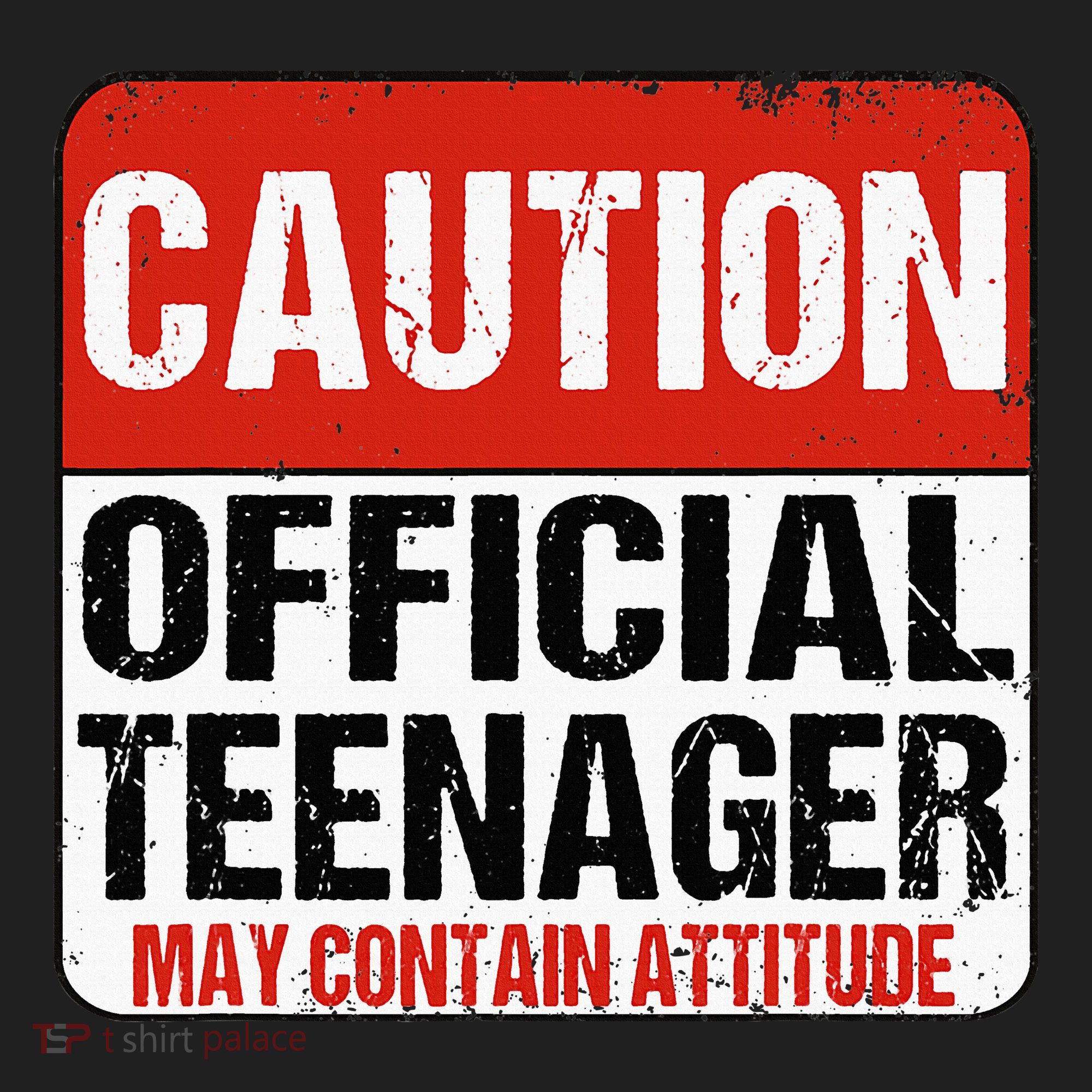 13 Birthday Caution Nager Boy 13yr 13th Birthday Beanie